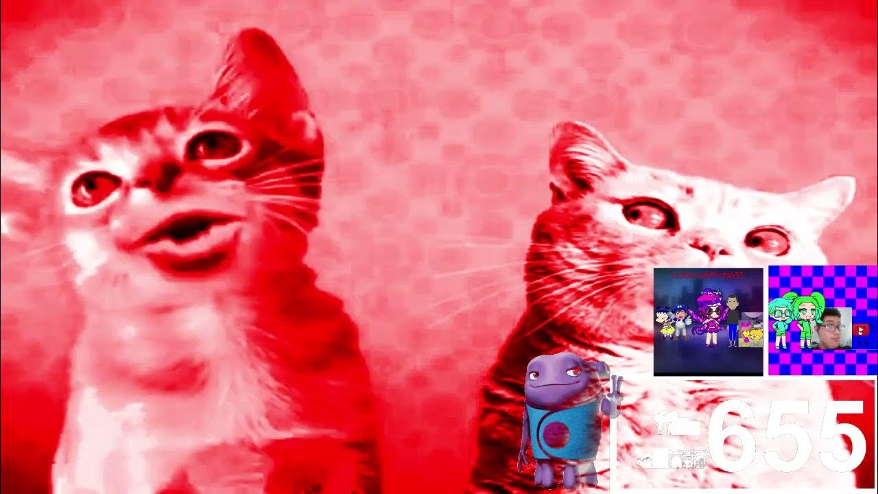 Preview 2 Numa Cat Midi Effects Preview 2 Mokou Deepfake Effects YouTube