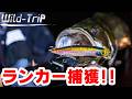 ランカー出現!!SBウェイクで大分のリバーシーバスを攻略|Wild Trip/鉄人・松岡豪之(1686)