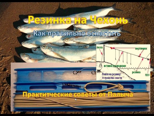 Как сделать резинку для рыбалки с берега своими руками, техника ловли рыбы