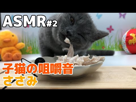 【ASMR】仔猫ささみモッパン(咀嚼音)#2