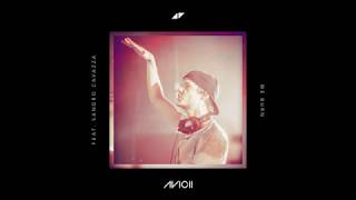 Video thumbnail of "Avicii - We Burn (Faster Than Light) ft. Sandro Cavazza"