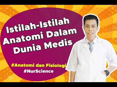 Video: Apa arti Hemi dalam istilah medis?