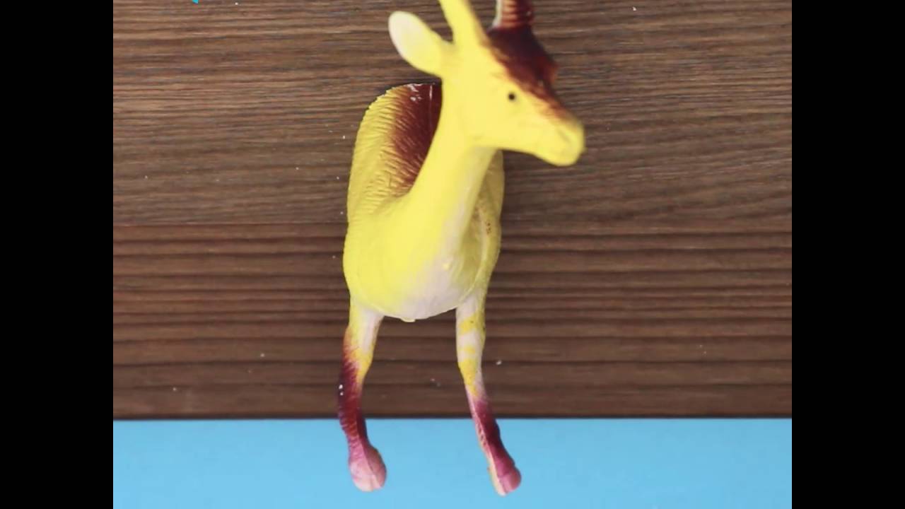 toy animals youtube