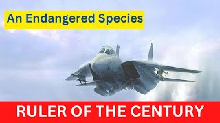 F-14 Tomcat: top gun | An Endangered Species