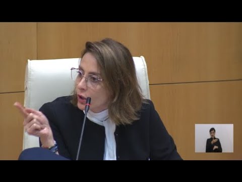 ისეთი სიტყვები შეარჩიეთ, რომელიც დეპუტატისთვის შესაფერისია-ხატია დეკანოიძე უმრავლესობას