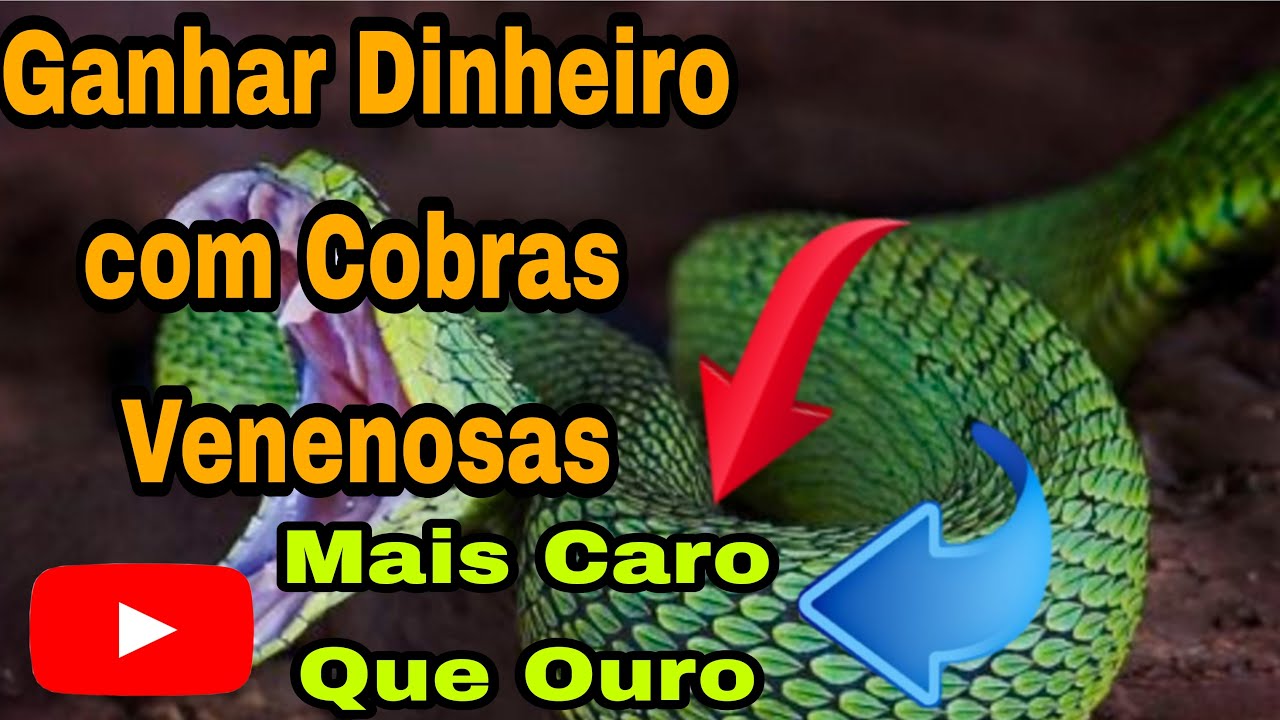 Como Montar e Ganhar Dinheiro com a Criação de Cobras Venenosas?