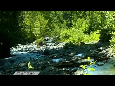 ტრაგედიით დასრულებული ექსკურსია