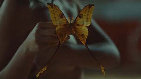 The Plot In You - Spare Me (Official Music Video)