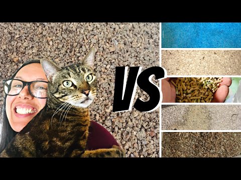 Video: La guía del propietario del gato a las opciones de Kitty Litter