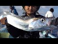 THIS FISH PUT MY FILLETING SKILLS TO THE TEST | Deep Sea Fish | Catch and Cook