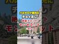 モンセラット観光!バルセロナ旅行にちょい足ししたい世界遺産の絶景と黒いマリア像