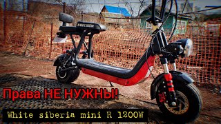 Электроскутер White siberia mini R 1200W / ПРАВА БОЛЬШЕ НЕ НУЖНЫ!?