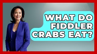 What Do Fiddler Crabs Eat? - The Marine Life Explorer