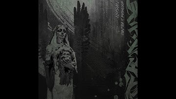 CØNTRA x Pushloop - Jade Bandits