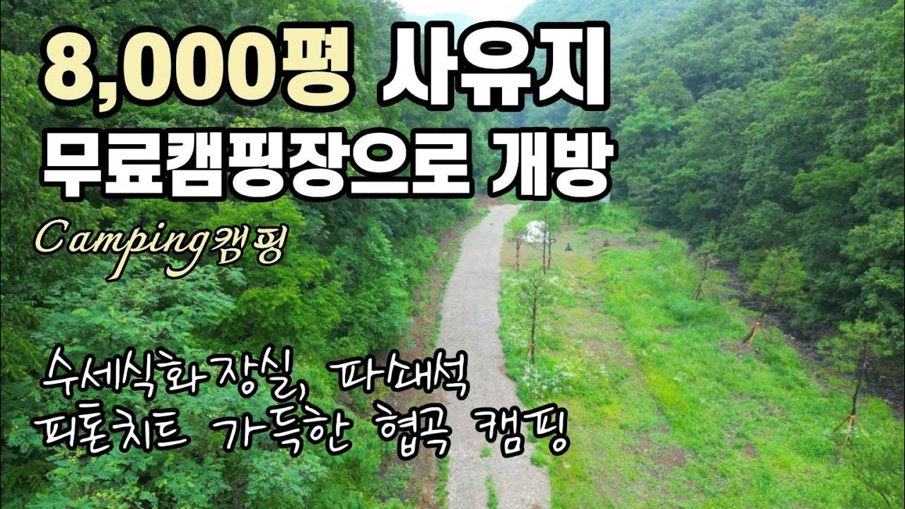 8,000평 사유지 무료개방/수세식화장실/새소리와 숲 속 노지에서 우중캠핑/무료 노지 차박 캠핑/카라반 캠핑카 차박 텐트 가능/애견동반캠핑/Camping
