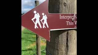 Interpretive Trail