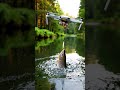 Using a Drone to Catch Fish Goes Wrong 😱 Big Fish Drags the Drone Into the Water! #dronevideo #short