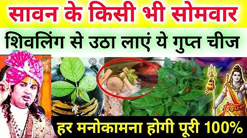 सावन के किसी भी सोमवार शिवलिंग से उठा लाएं यह गुप्त चीज मनोकामना पूरी होगी - Pradeep ji mishra