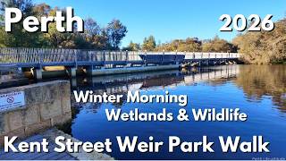 Perth Kent Street Weir Park Walk 2026 — Winter Morning River, Wetlands & Wildlife (4K)