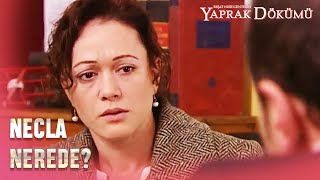 Fikret, Necla'nın Peşinde! - Yaprak Dökümü 57.  Resimi