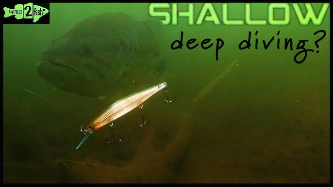 Bio-Minnow Deep Diver Swimbait - 4.5'' - Fishlab