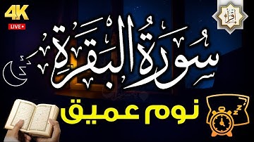سورة البقرة طاردة الشياطين 💚 قران كريم بصوت جميل ومريح جدا 💚 تلاوة هادئة للنوم والراحة النفسية😴