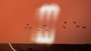 Untitled - Mssingno
