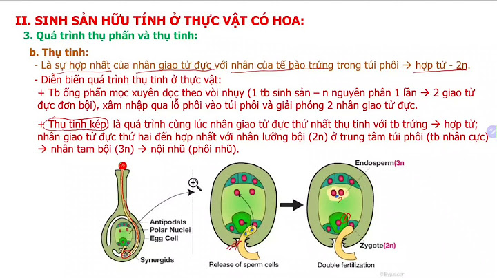 So sánh sinh sản hữu tính ở thực vật