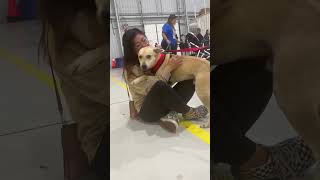 This Rescue Dog Knew He Was Meeting His Mom...