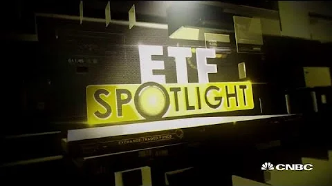 The SPDR consumer discretionary ETF hits new record high, here's what's leading