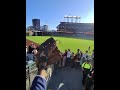 right on my boy!! #giants #baseball #shorts #mlb #viral