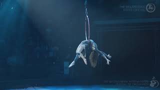 Dorato Circus | Alisa Shehter | Aerial hoop | Minsk circus festival 2019