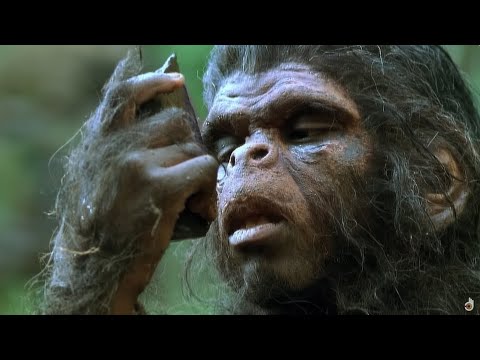 Homo Sapiens : l’essor fulgurant de notre espèce