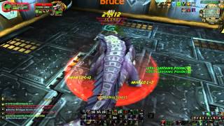 Brawlers Guild: Mini Guide with Merc!