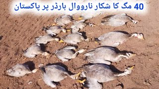Magh Ka Shakar Bar Headed Goose Hunting In Stan Syed Asmeen Vlogs