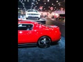 IMG_0395.MOV