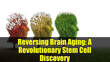 Reversing Brain Aging: A Revolutionary Stem Cell Discovery