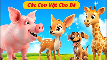 Các Con Vật Cho Bé - Con Gì Đây - Con Vịt, Con Lợn, Con Chó, Con Mèo, Con Gà, Con Bò, Con Trâu