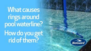 Pool waterline buildup - causes and cures