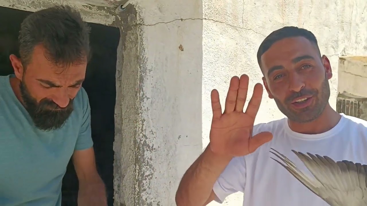 MARDİN KABALADAN Çok İddialı Mesut kardeşimizin oyun kuşları Akşam saat 9 da