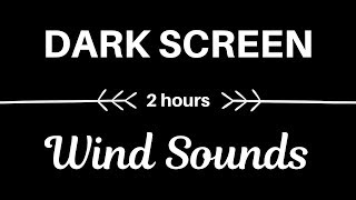 🎧 Wind Sounds: 2 Hours of Relaxing Whistling Wind (DARK SCREEN) 🎧