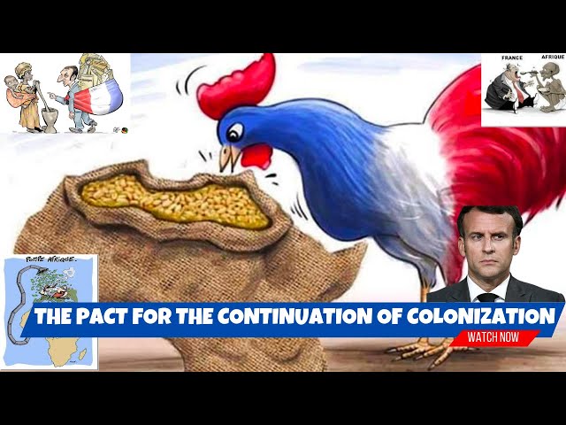 French Colonial Pact Clearance Emergencydentistry french-colonial-pact-clearance-emergencydentistry