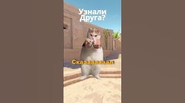 🕊️ Спасибо за подписку 🕊️ #кс2 #cs2 #grubogo