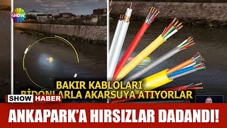 Ankapark'a hırsızlar dadandı!