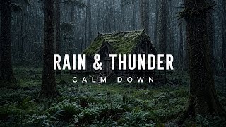 Listen to Rain Falling on Forest Leaves, Relax, Reduce Your Anxiety and Fall Into Deep Sleep