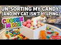 🔴 24/7 live chat | ASMR Candy Soup: Loud Scooping & Pouring Sounds🍭🍬🌈