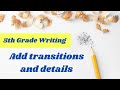 Essay Writing and Transition Words Quiz