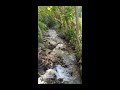 Land for sale in Bosnia,Rostovo on river.Real estate in Bosnia, Sarajevo البوسنة أرض في البوسنة