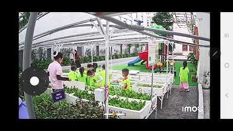 Hình ảnh làm xúc động và tự hào. Vườn Topfarm đóng góp cho nền giáo dục Việt Nam