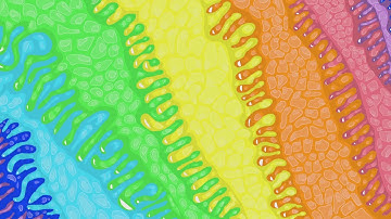 YAR plays more Shadow of the Comet!